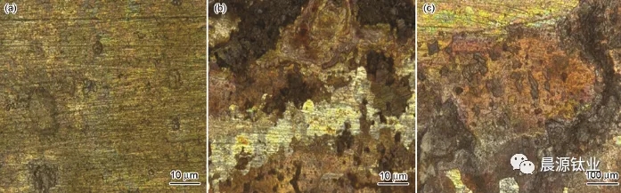 圖3 周浸腐蝕實(shí)驗(yàn)后3組試樣中的316L不銹鋼表面形貌g