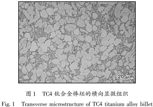 1686562985494651.jpg t1.jpg