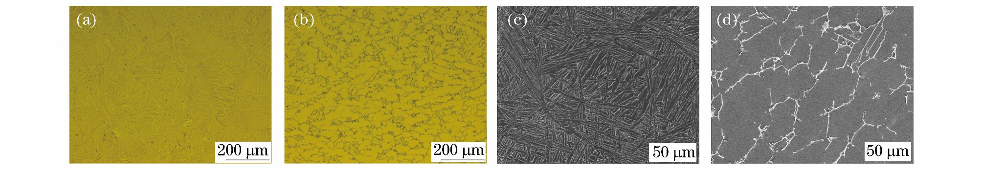 1720148273809090.jpg 2.jpg