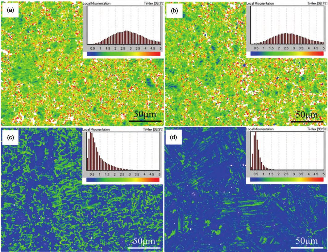 1721011973312494.jpg 5.jpg