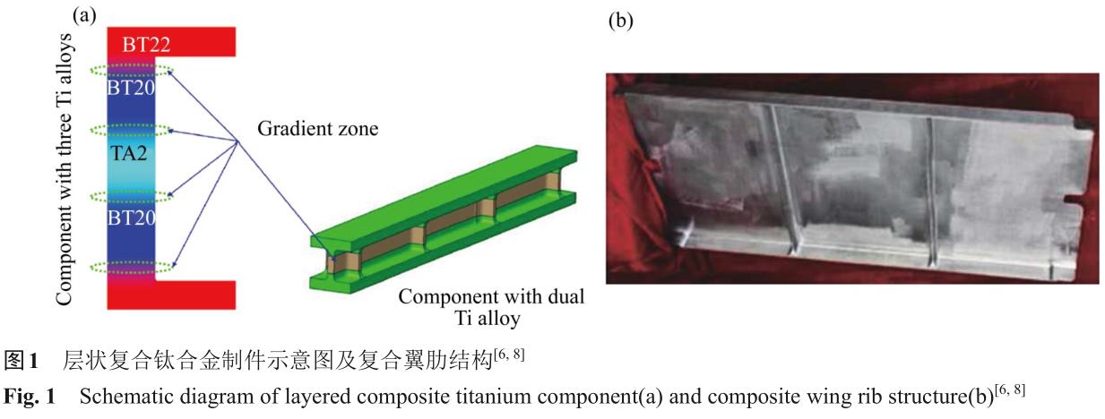 1724665010405902.jpg t1.jpg