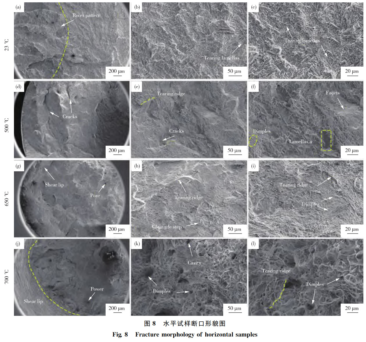 1762347884540697.jpg 未標題-3.jpg