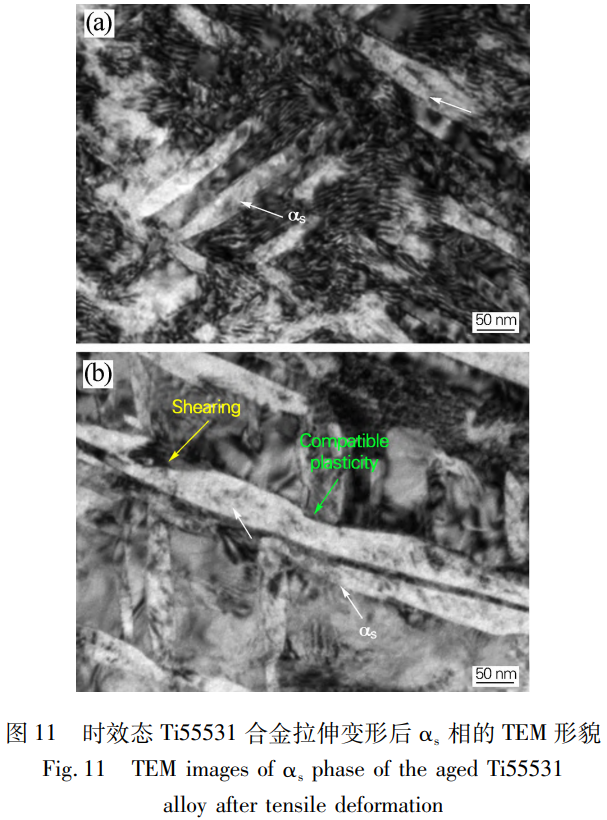 1766459558135553.png 截圖20251223110949.png